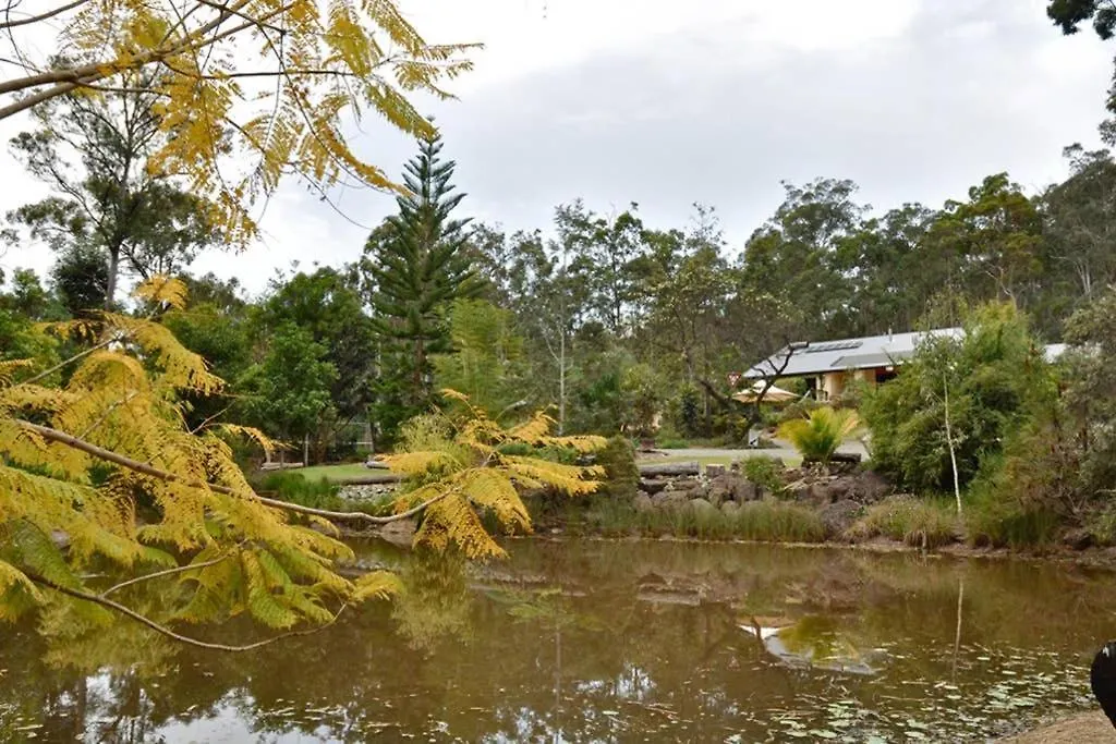 Bobrene On Tamborine Nude Retreat - Cosy Chalet Daire Avustralya