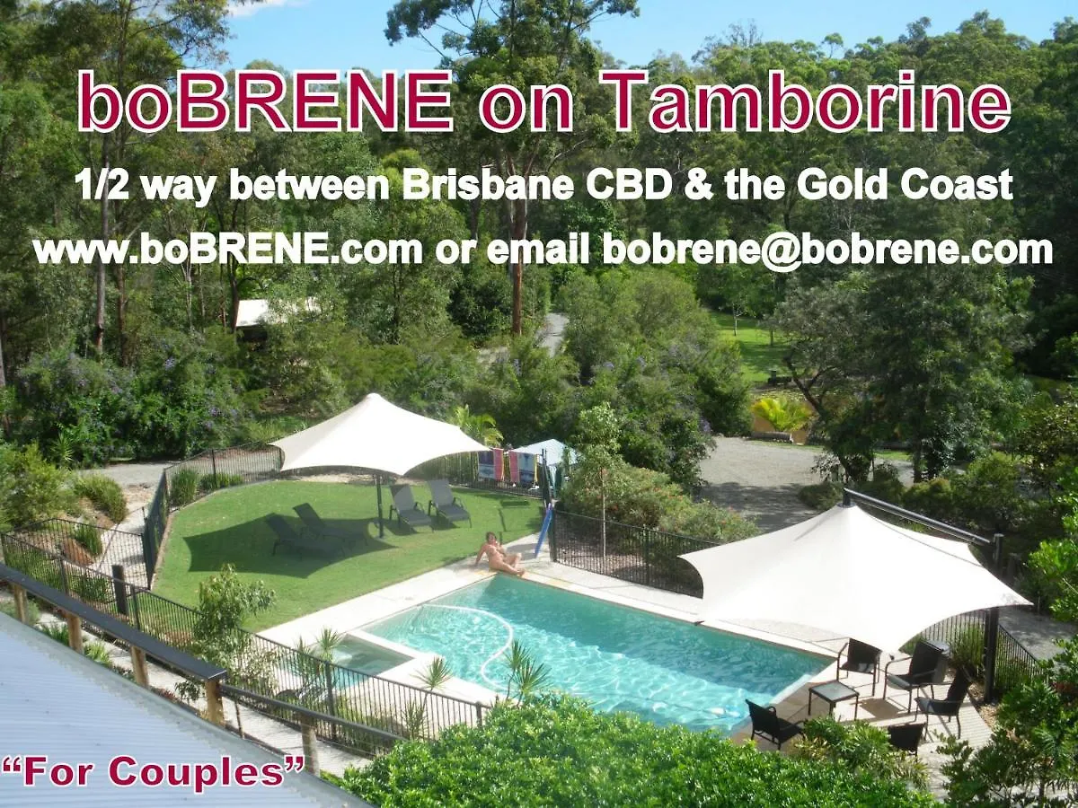 Bobrene On Tamborine Nude Retreat - Cosy Chalet Daire